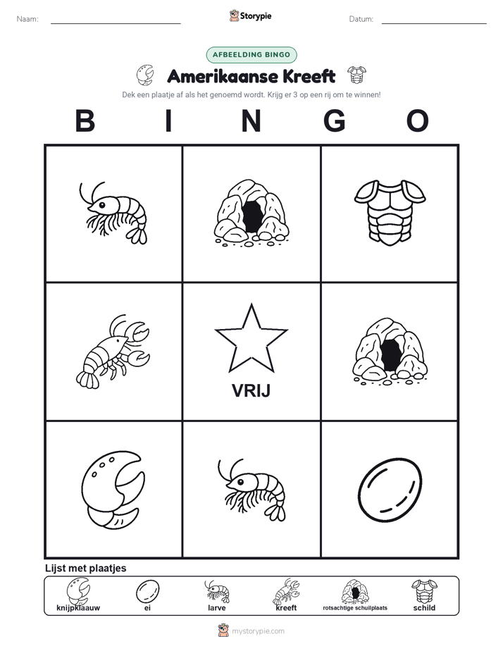 Afbeelding Bingo