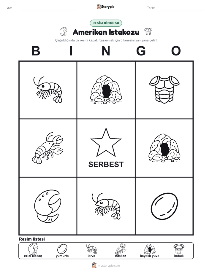 Resim Bingo