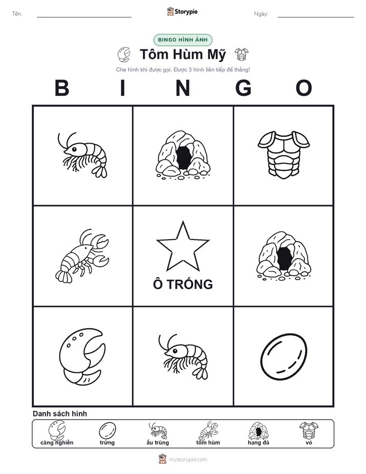 Bingo Hình Ảnh