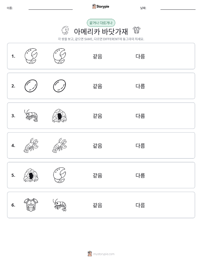 같은 것 또는 다른 것