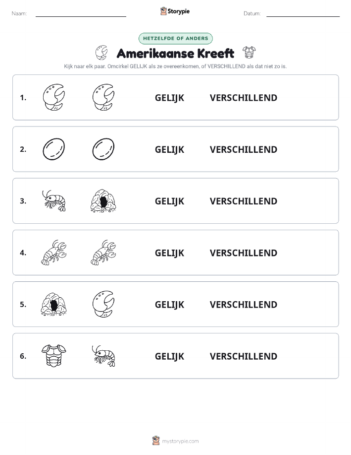 Zelfde of Verschillend