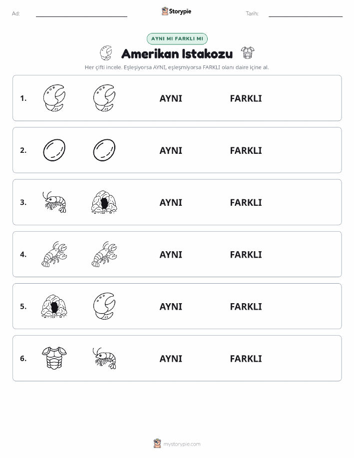 Aynı mı Farklı mı