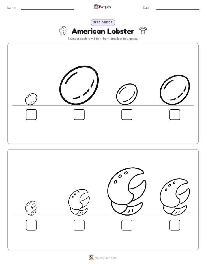 Size Order