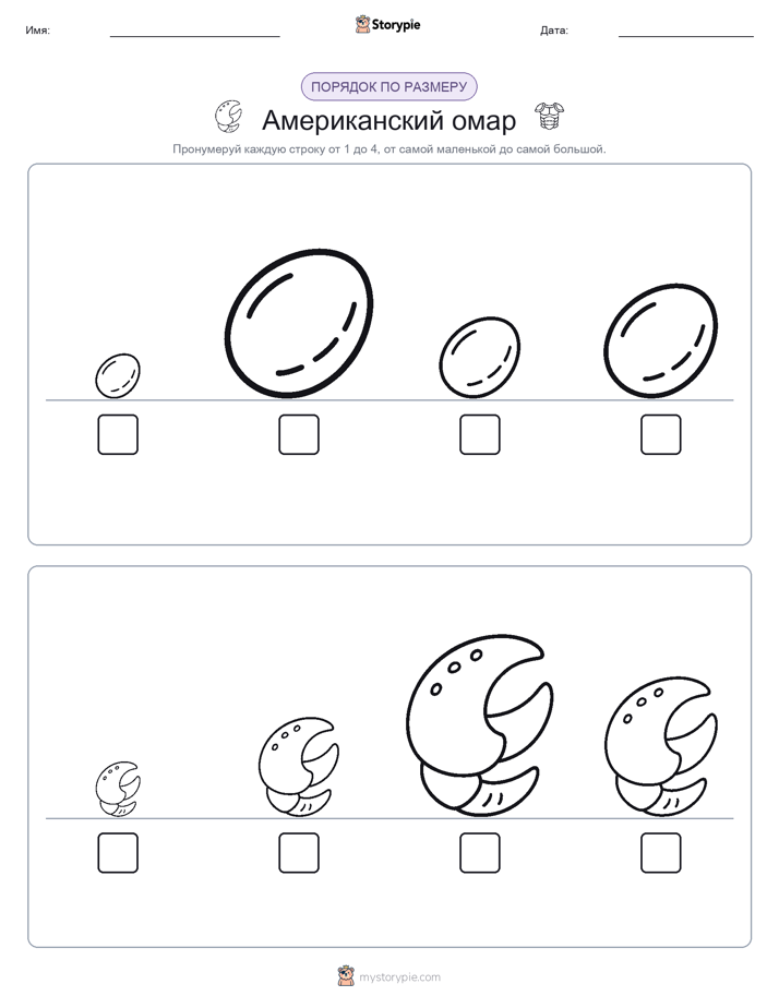 Размеры в порядке