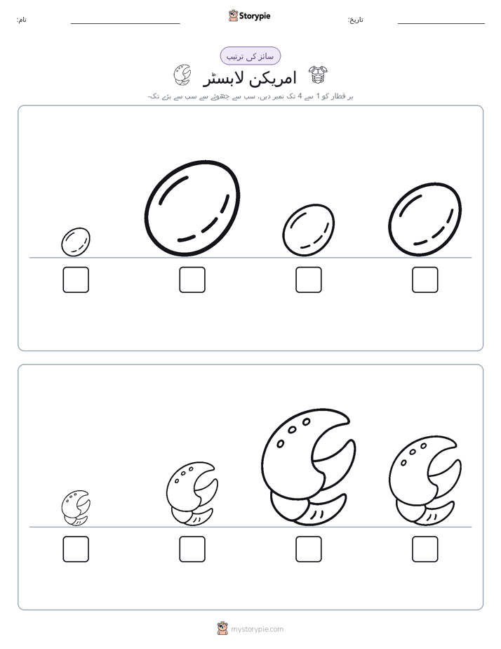 سائز کی ترتیب