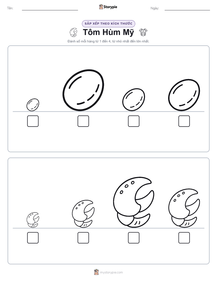 Thứ Tự Kích Thước