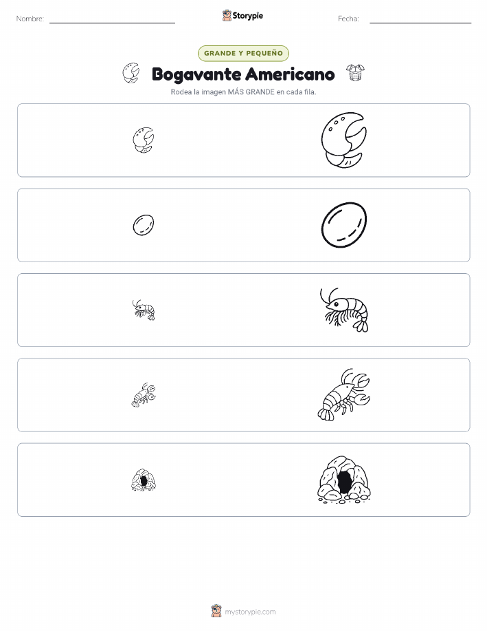Clasificación