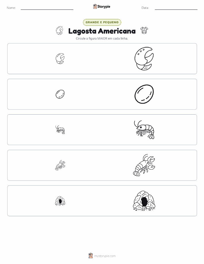 Classificação
