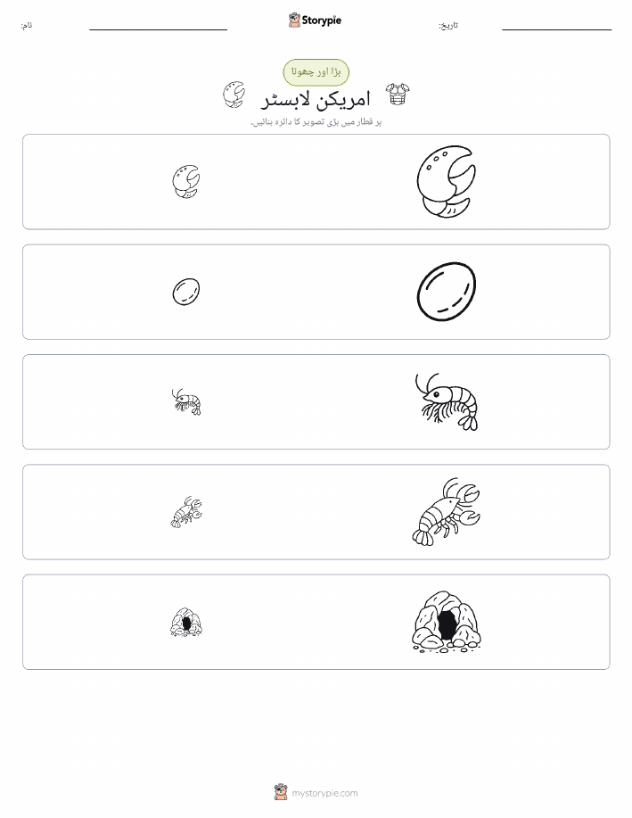 ترتیب دینا