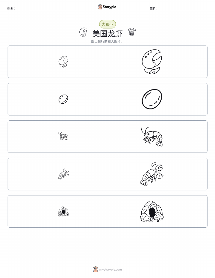 分类