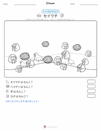セイウチ の印刷可能ワークシートプレビュー