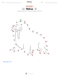 Walrus printable worksheet preview