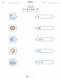 セイウチ の子供向け印刷可能ワークシート