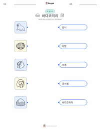 바다코끼리 어린이용 인쇄 가능한 워크시트