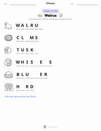 Walrus printable worksheet preview