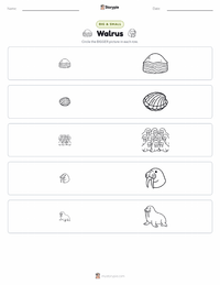 Walrus printable worksheet preview