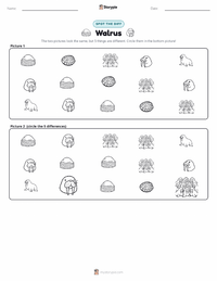 Walrus printable worksheet preview