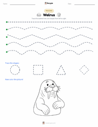 Walrus printable worksheet preview