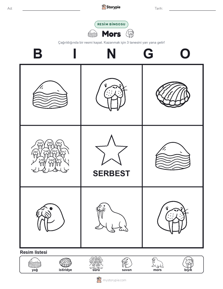 Resim Bingo
