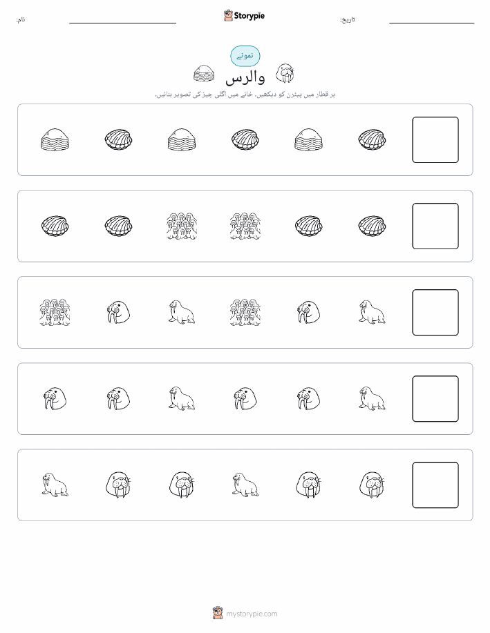 پیٹرن