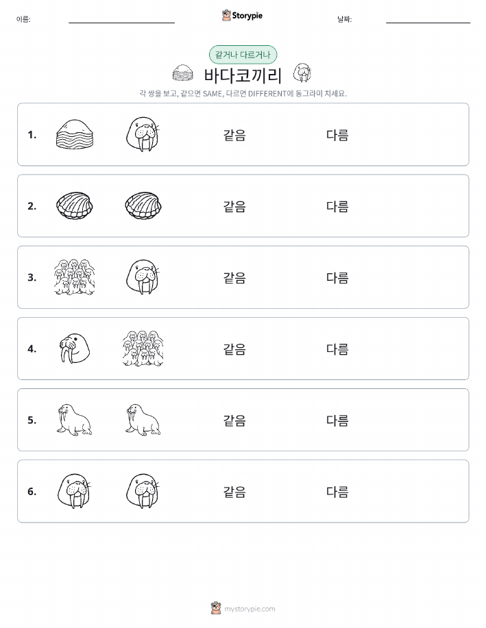 같은 것 또는 다른 것