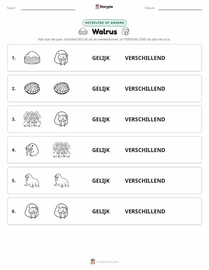 Zelfde of Verschillend
