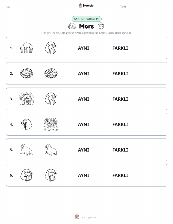 Aynı mı Farklı mı