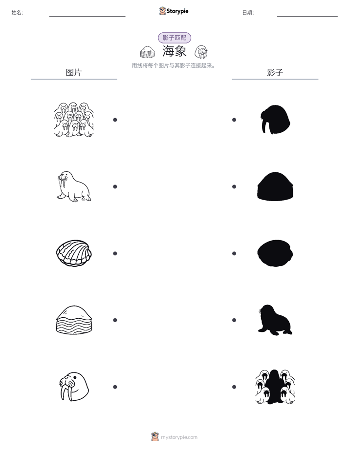 影子匹配