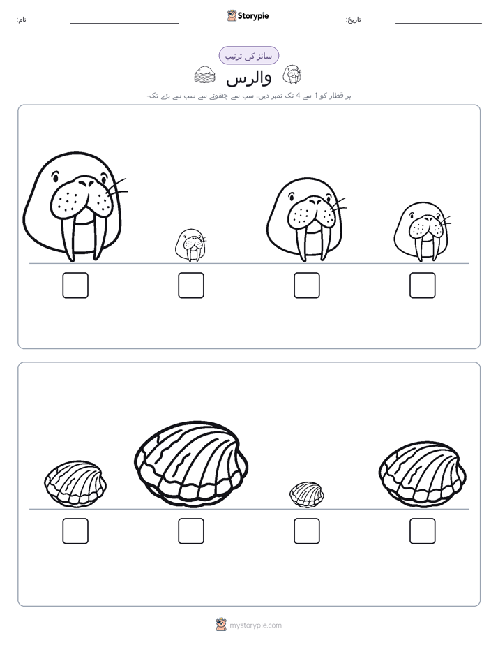 سائز کی ترتیب