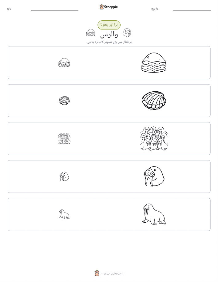 ترتیب دینا