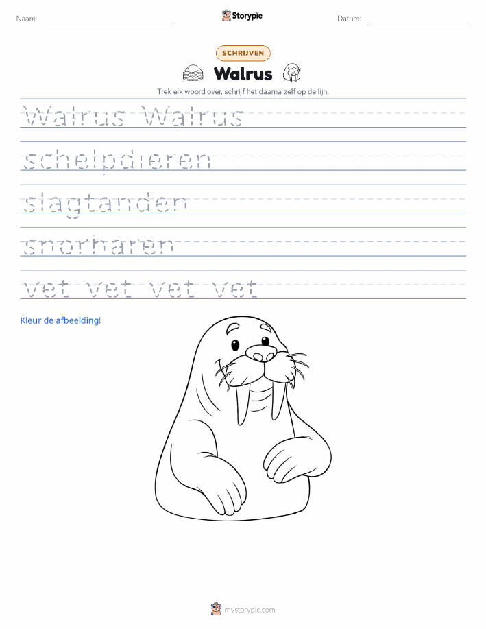 Schrijf Oefening