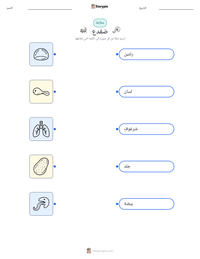 معاينة ورقة العمل القابلة للطباعة ضفدع