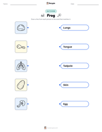 Frog printable worksheet preview