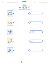 개구리 인쇄 가능한 워크시트 미리보기