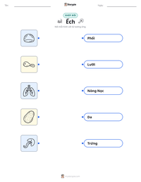Xem trước tài liệu in sẵn Ếch