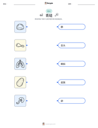 青蛙 可打印工作表预览