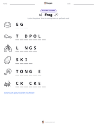 Frog printable worksheet preview