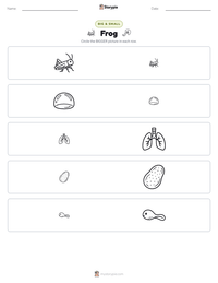 Frog printable worksheet preview