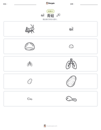 青蛙 可打印工作表预览