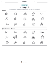 Frog printable worksheet preview