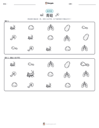 青蛙 可打印工作表预览
