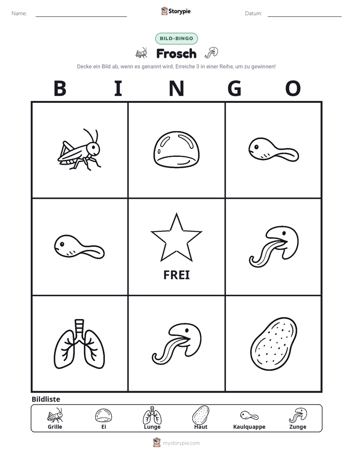 Bild-Bingo