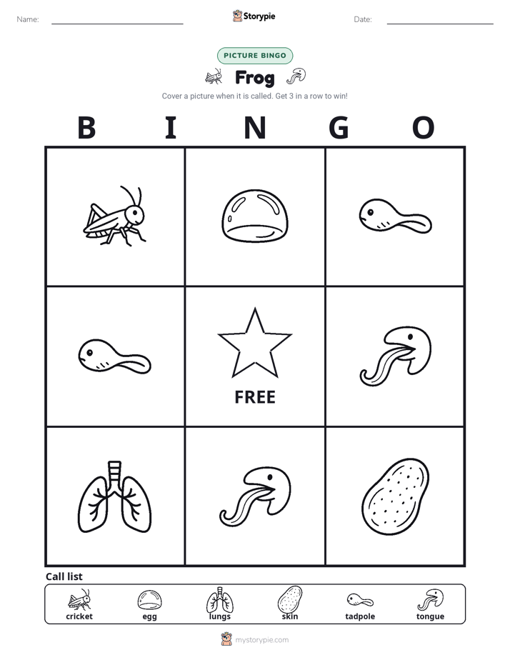 Picture Bingo