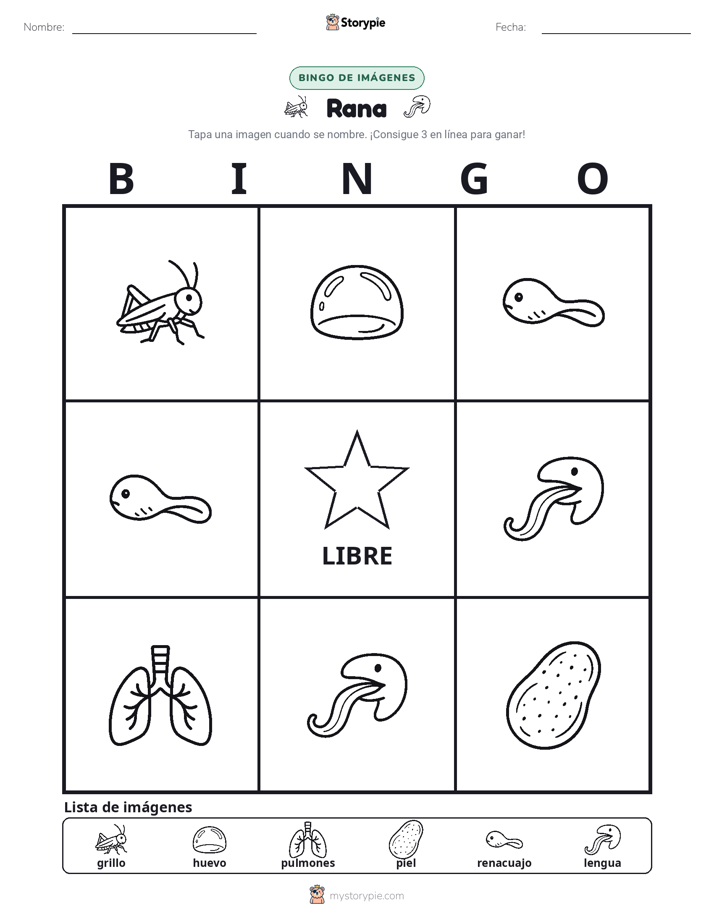 Bingo de Imágenes