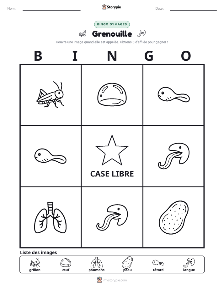 Bingo d'Images
