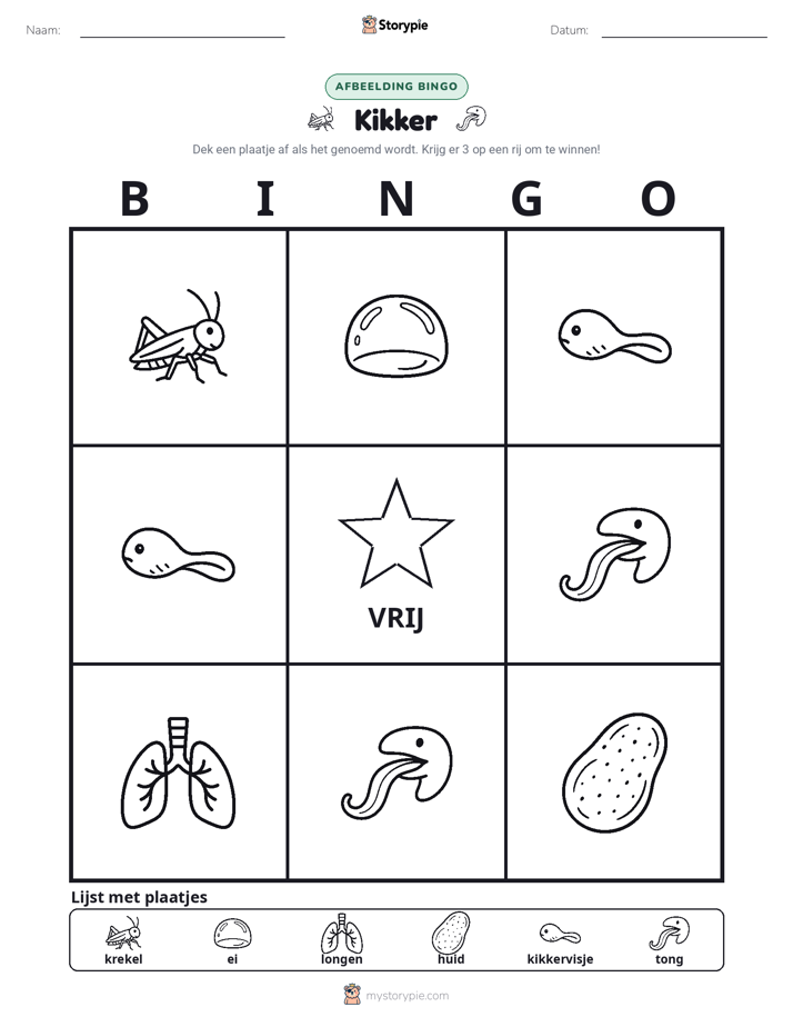 Afbeelding Bingo