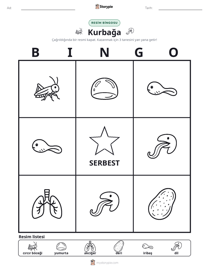 Resim Bingo