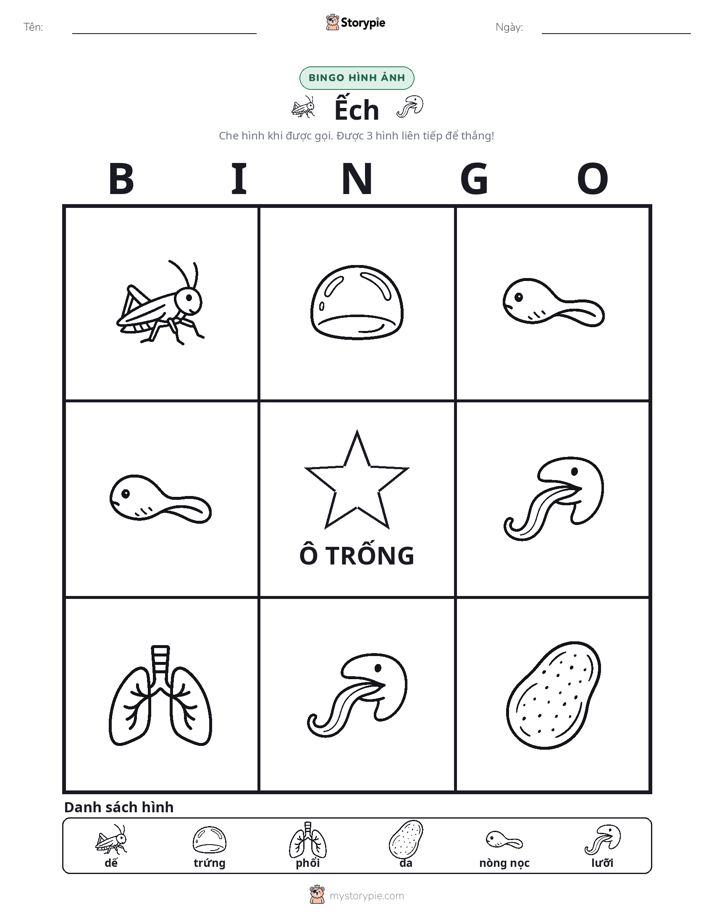 Bingo Hình Ảnh