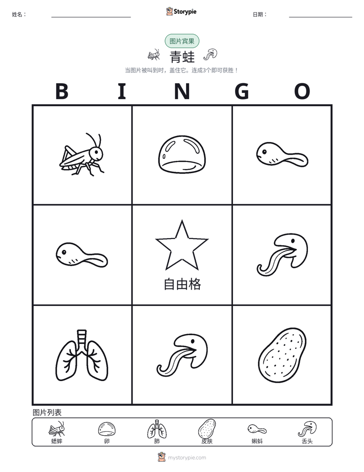 图片宾果