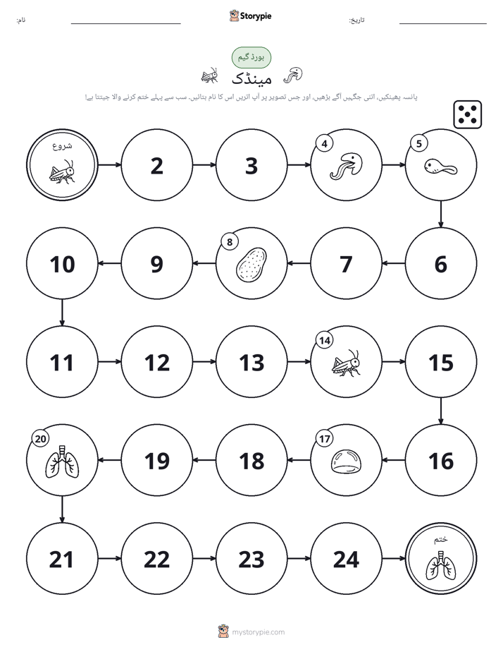 رول اور منتقل کریں کھیل